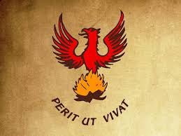 Phénix renaissant de ses cendres avec la devise « Perit ut vivat », symbole du Rite Écossais Rectifié – Nos Colonnes