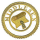 Provincial Grand Officer Full Dress Apron Badge - Grand Lodges, English Style 