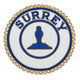 Provincial Grand Officer Undress Apron Badge - Grand Lodges, English Style  