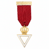 Cryptic (Royal & Select Masters) Member Breast Jewel - English Constitution