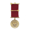 Past Zerubbabel Breast Jewel - Domatic Royal Arch
