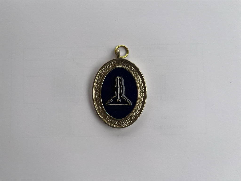 BONNES AFFAIRES - Médaille National Passé. Grande Tenue (Nationaux) sautoir Nos Colonnes - Boutique Maçonnique 