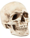 Masonic Skull (Resin)