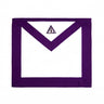 Cryptic (Royal & Select Master) Member Apron (Broken left) - American Constitution