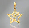 Acacia & its Star - Pendant