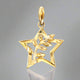 Acacia & its Star - Pendant