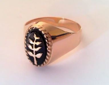 Chevalière onyx feuille d'acacia en or - Nos Colonnes