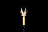 3rd Principal J Scepter J - Domatic Royal Arch